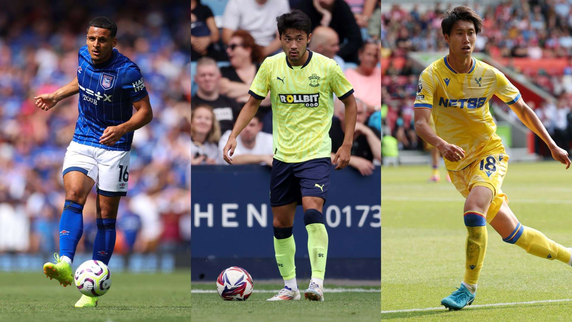 在新闻报道 在新闻报道