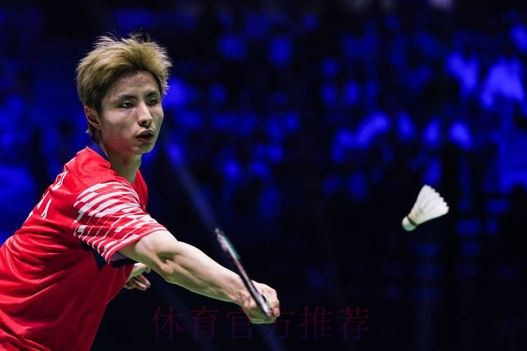 石宇奇完胜李卓耀晋级半决赛 石宇奇完胜李卓耀晋级半决赛